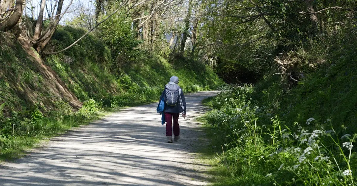 Afvallen door wandelen: Effectief en gezond gewicht