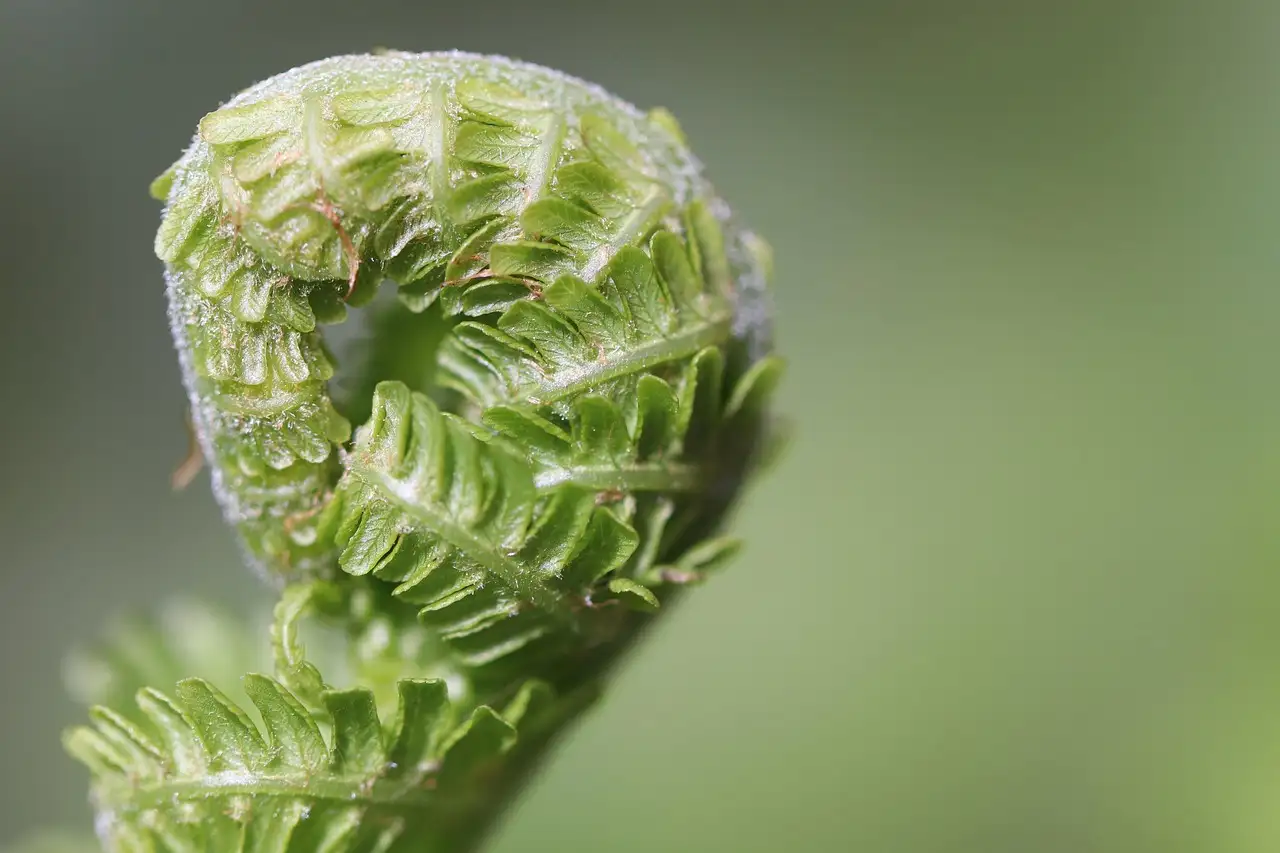 Snel vermageren buik: effectieve tips en advies